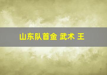 山东队首金 武术 王